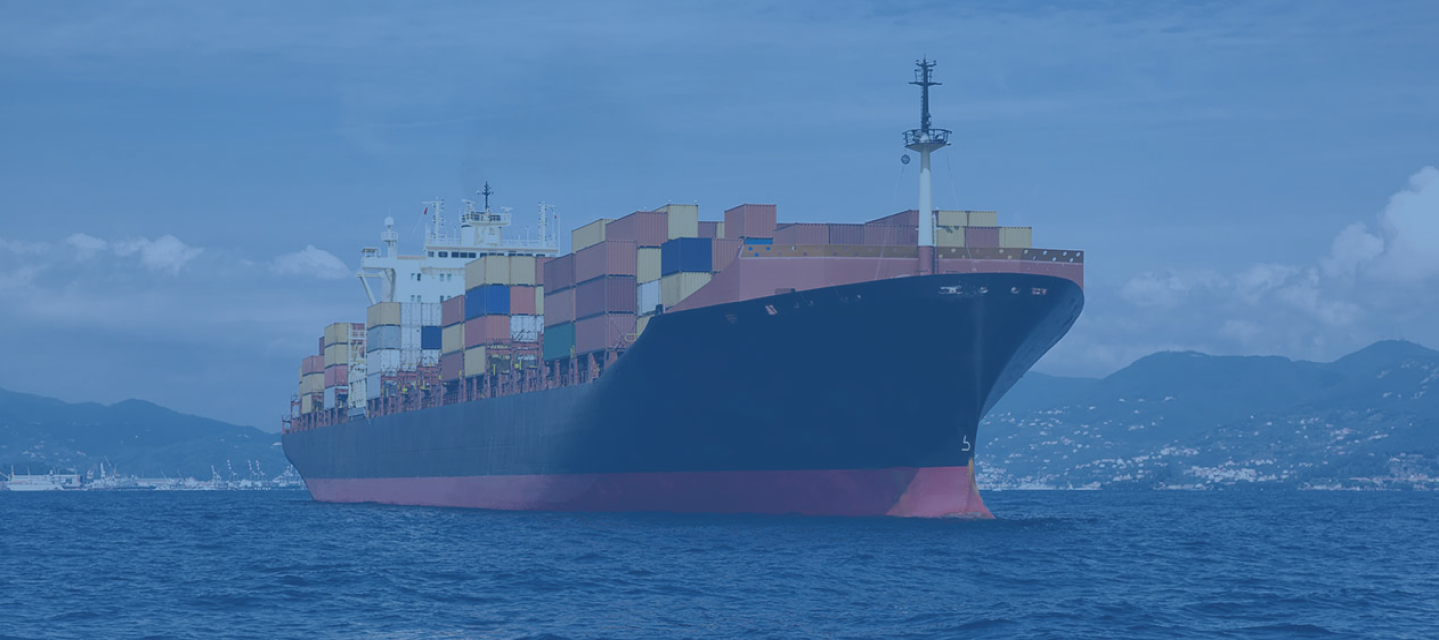 zygi wilf net worth - Article 3